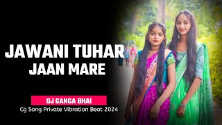 JAWANI TUHAR JAAN MARE  CG SONG  TAPORI VIBRATION MIX  PRIVATE  DJ GANGA BHAI [upl. by Coben809]