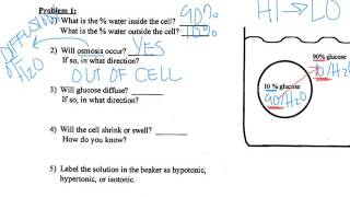 Diffusion Osmosis Practice Problems [upl. by Asilenna]