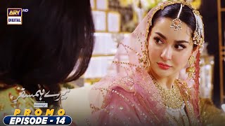 Mere Humsafar Episode 14  Promo  ARY Digital Drama [upl. by Irtimd]