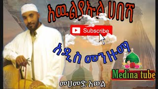 Mohammad awol menzumaመሀመድ አወል መንዙማ mohammadawol menzuma Ethiopia medina tube [upl. by Flowers509]