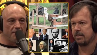 JRE How Chimpanzees Choose Their LEADERS [upl. by Enivid616]