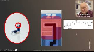 A technical introduction to the measurement of Scoville Heat Units and FoodSense [upl. by Yrtnej506]