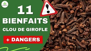 Clou de girofle Estce vraiment bon pour la santé  😱 Ses bienfaits et dangers [upl. by Ratha]