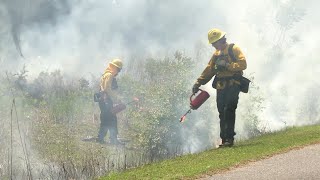 Gainesvilles Prescribed Fire Program [upl. by Aundrea]