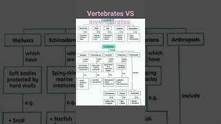 Vertebrates VS Invertebrates biology science vertebrates [upl. by Ainez194]