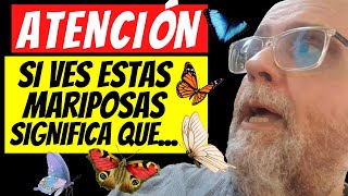 ¿Qué SIGNIFICA cuando VES una MARIPOSA Significado y simbolismo Mensaje Espiritual [upl. by Snebur976]