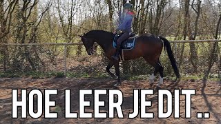 DRESSUUR  HOE LEER JE OVERGANGEN  PAARDRIJDEN MET PLEZIER [upl. by Iey167]