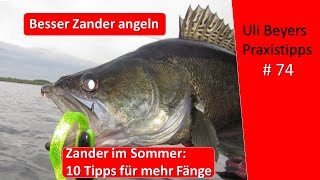 Zander Angeln 10 Tipps für Zander im Juni und Sommer [upl. by Landry]