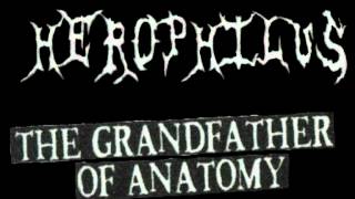 Herophilus  The Grandfather Of Anatomy [upl. by Ansaev758]