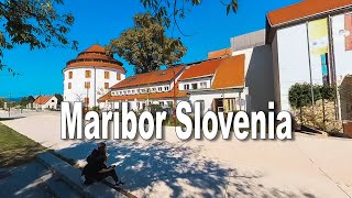 Exploring Maribor Slovenia  A Scenic Walk Along the Drava River [upl. by Aihsiek]