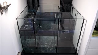 Waterbox Aquariums Sump ReviewTour [upl. by Anirbaz23]