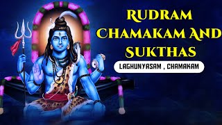 Rudram Chamakam And Sukthas  Powerful Lord Shiva StotrasLaghunyasam amp Chamakam  S Prakash Kaushik [upl. by Sivahc]