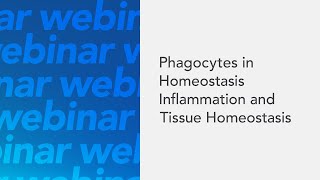 Phagocytes in Homeostasis Inflammation and Tissue Homeostasis [upl. by Ahseek]