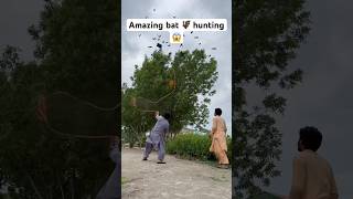 Amazing bat hunting 🦇😱 farming hunting entertainment shorts viralshorts youtubeshorts [upl. by Lanrev19]