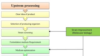 Upstream Processing [upl. by Nylqcaj]