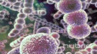 Streptococcus Pneumoniae Hybrid Medical Animation [upl. by Eenaej]