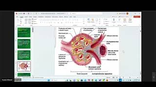 Introduction To Nephrology [upl. by Barry]