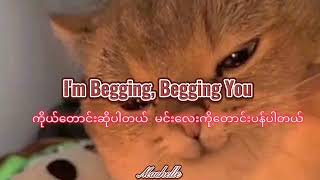 Beggin  Måneskin  Myanmar Sub  Im Beggin You [upl. by Goeger763]