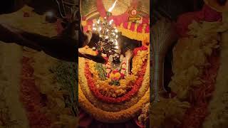 అమ్మవారి మంగళ హారతి Ammavari Mangala Haarti lakshmi harathi lakshmidevi Friday shortsvideo [upl. by Caddaric]