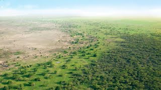 How Africa is Turning its Desert into a Great Green Wall Oasis  GREENING THE DESERT PROJECT [upl. by Broder]