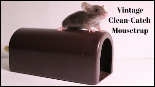 Vintage CleanCatch Mousetrap Mousetrap Monday [upl. by Dalpe366]