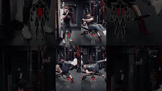 Entrenamiento de abdominales intenso ¡Mira el video gymtips abworkout [upl. by Barbur]