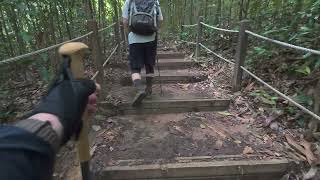 Bukit Timah Hike 01 12 24 [upl. by Nauqas]