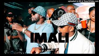 Kabza De SmallDj MaphorisaTylerICU Dj Byza ft LeeMcKrazy  quotImaliquot  Amapiano Type Beat 2024 [upl. by Tollmann267]