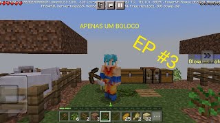 SEPAREI MEUS ANIMAIS EM SERCADOS APENAS UM BLOCO EP 3 [upl. by Bound961]