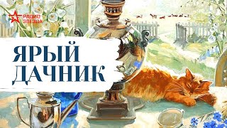 Николай Лейкин  Юмористические рассказы  Ярый дачник [upl. by Eliot]