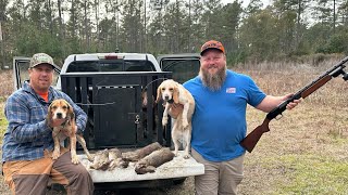 RABBIT HUNTING with DOGS Catch amp Cook [upl. by Hsevahb763]