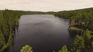 Större bolagsägd skog  Strömsund Gussåsen 714 ha [upl. by Folger]