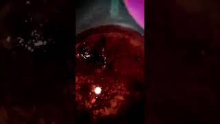 Blood worm Frozen Feed fish kerala fish breeding bloodworm guppy shorts pets food diy [upl. by Ahsimac]