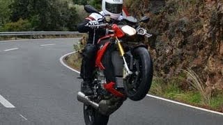 MOTORRADTestride BMW S 1000 R [upl. by Hannibal292]