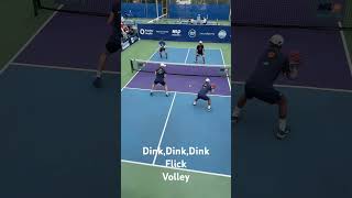 Dink Flick Volley pickleball play [upl. by Wojak]