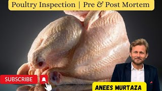 Poultry Postmortem Technique Part 1  Courtesy World Poultry [upl. by Kciderf740]