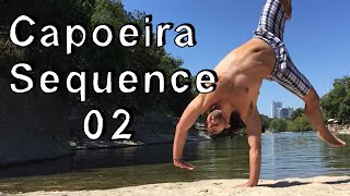 Capoeira Training Sequence 02 [upl. by Stephie]