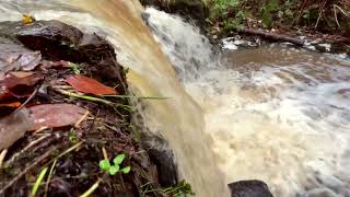 Birkey Burn Waterfall 181123 waterfall northumberland hexham [upl. by Bern]