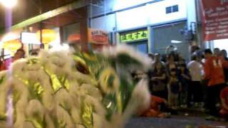 Wah Ngai Lion Dance at Honolulu Hawaii Chinatown Year of the TIger store blessings [upl. by Milano]