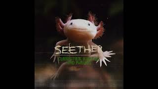 Seether  No Shelter [upl. by Ayahc]