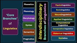 Core Branches of Linguistics vs Interdisciplinary Branches of Linguistics [upl. by Irihs]