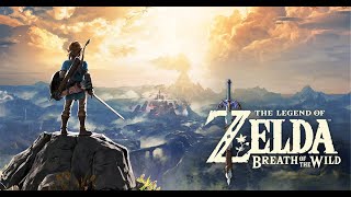 On commence ENFIN Zelda Breath of the Wild pour soutenir lasso du zoorefuge La Tanière [upl. by Cinnamon191]