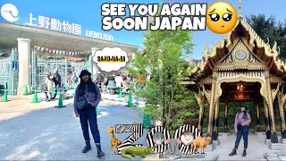 GOODBYE JAPAN 🎌  Ueno Zoo 🐼🐻‍❄️🐻 [upl. by Merlina]