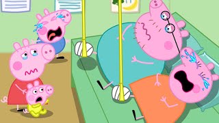 Peppas Family Suffered a Broken Leg  Peppa Pig Funny Animation [upl. by Oletta102]