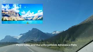 Drive through Icefields Parkway🏔🇨🇦 roadtrip wanderlust active travel [upl. by Nnarual977]