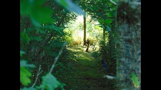 Goddess Meditation and Visualisation Weekend at Bealtaine CottageSharing [upl. by Rawley680]