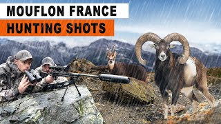 Chasse au Mouflon  Chamois  France 2024 [upl. by Anoj]