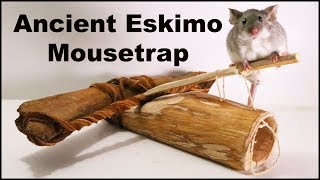 Ancient Eskimo Mouse Trap Mousetrap Monday [upl. by Auqkinahs]