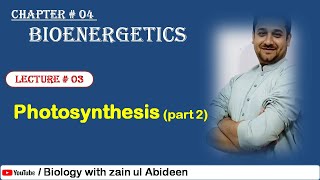 Photosynthesis part 2  Photosystem amp non cyclic ETC [upl. by Enaenaj]