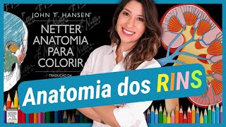 RINS  Anatomia para colorir [upl. by Issor]